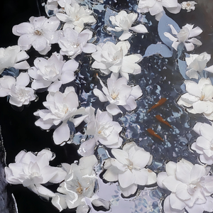 日韩男的和女生做爱动漫
